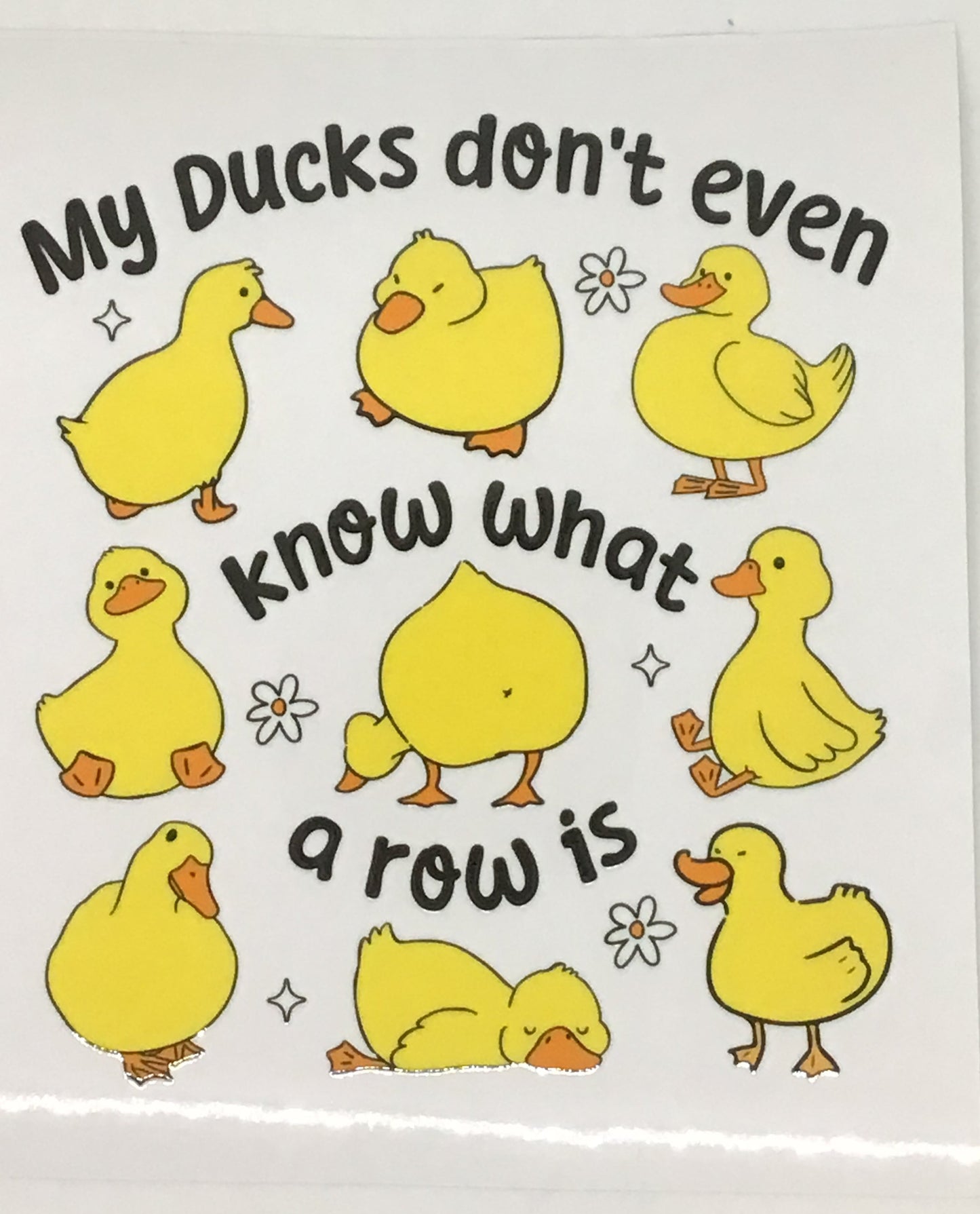 My Ducks