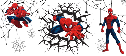 Web Guy
