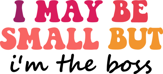 I May be Small