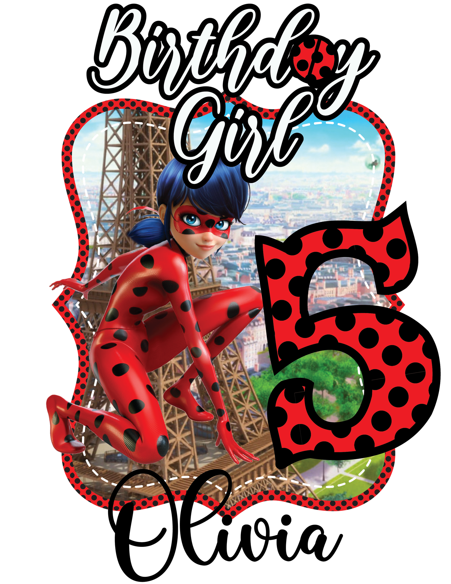 Lady Bug Birthday Shirts