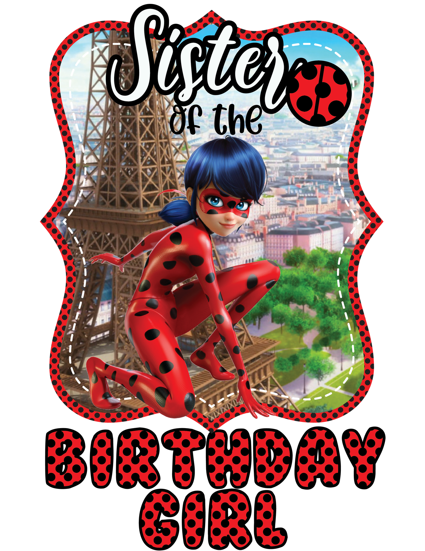 Lady Bug Birthday Shirts