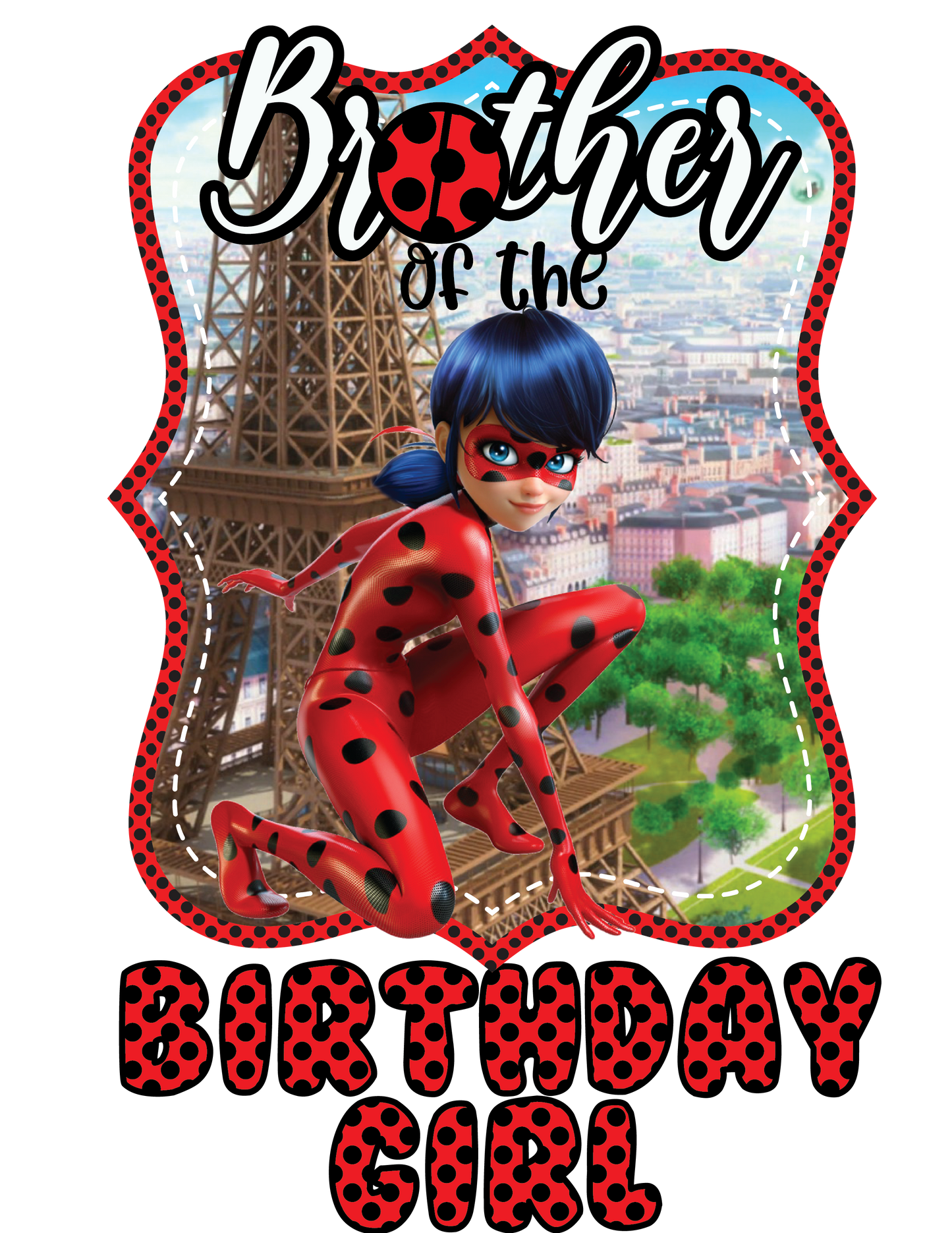 Lady Bug Birthday Shirts