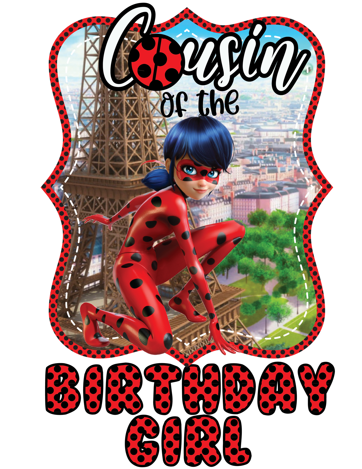 Lady Bug Birthday Shirts