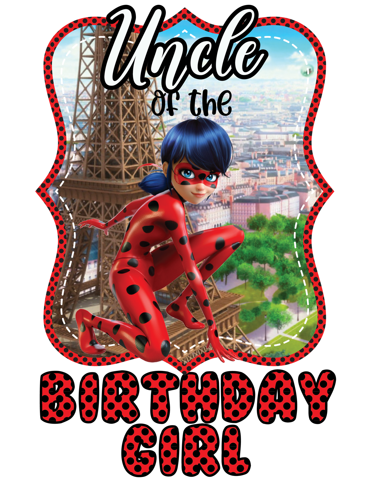 Lady Bug Birthday Shirts