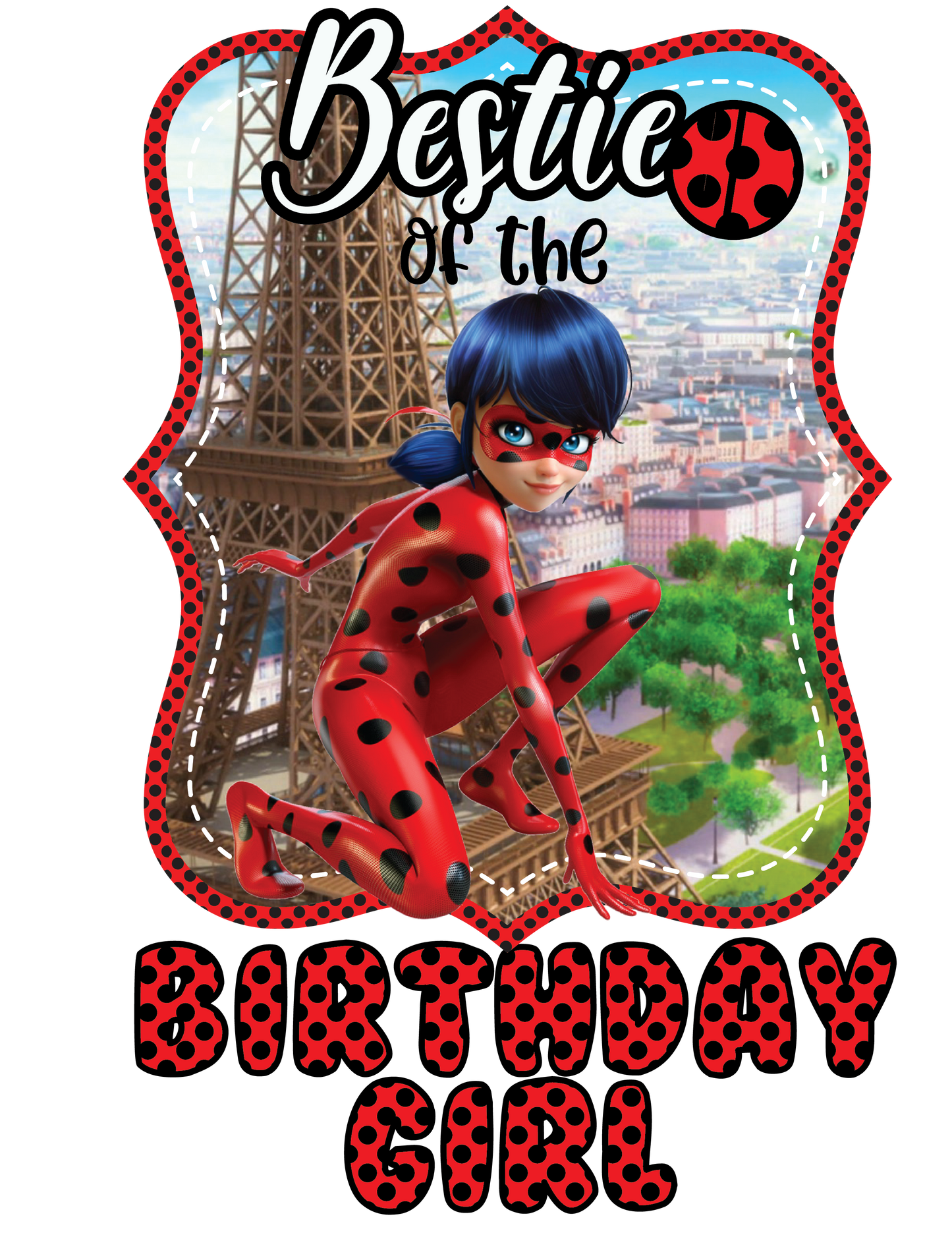 Lady Bug Birthday Shirts