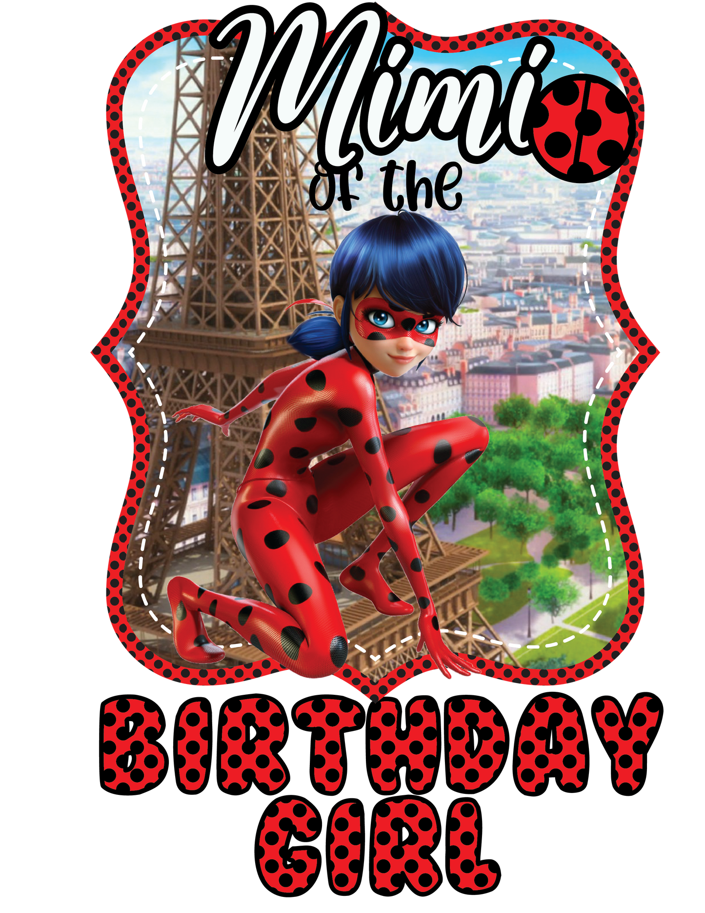 Lady Bug Birthday Shirts