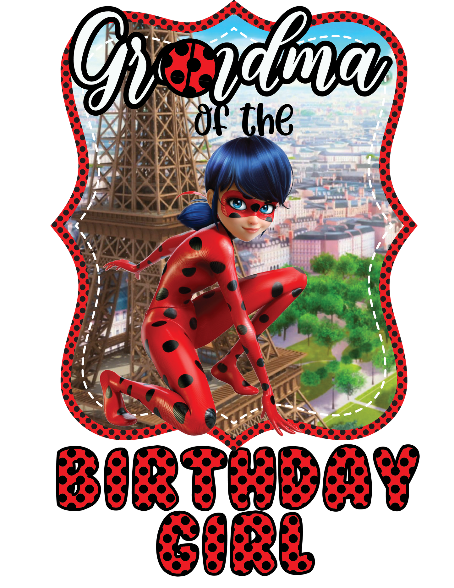 Lady Bug Birthday Shirts