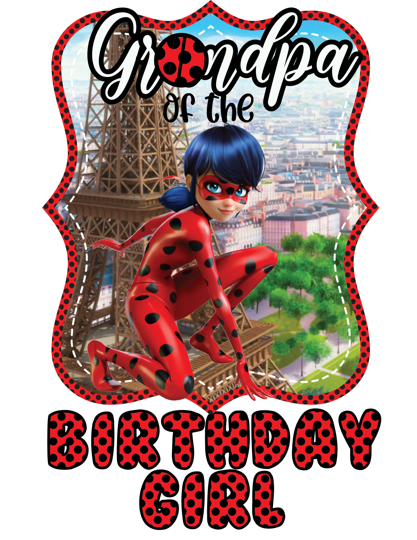 Lady Bug Birthday Shirts