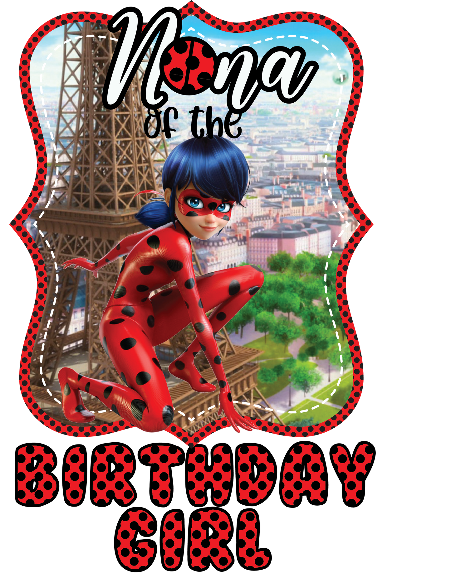 Lady Bug Birthday Shirts